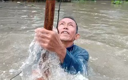 Kiên Giang: Đến Giồng Riềng xem "dị nhân" dỡ chà bắt cá, nào cá trê trắng, cá chốt, cá mè vinh nhảy lao xao