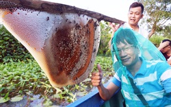 Về U Minh Hạ, lội rừng ăn ong lấy mật, thưởng thức vô số đặc sản trứ danh