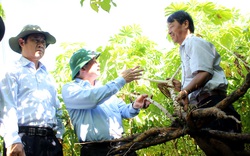 Vì sao Tây Ninh đột nhiên đề nghị giải thể Ban chỉ đạo phòng chống loại dịch bệnh nguy hiểm này?