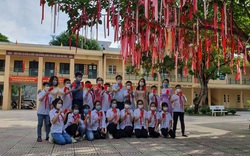 Thanh Hoá: Độc đáo "cây điều ước" với thông điệp  chiến thắng Covid-19 của học sinh