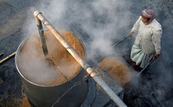 Giá gạo 5% tấm Việt Nam vẫn duy trì mức ấn tượng