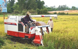 
Quảng Nam: Xây dựng nền nông nghiệp hiện đại, nông dân giàu có
