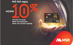 MSB chính thức ra mắt Thẻ tín dụng MSB Visa Business với nhiều ưu đãi hấp dẫn