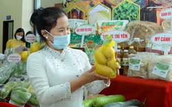 Vụ đông ở Bắc Giang: Trồng khoai tây Sao Thần Nông củ to bự, nông dân có "lương" 5,5 triệu đồng/tháng