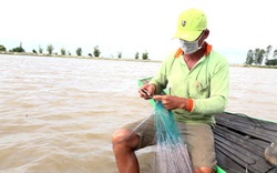 Đồng Tháp: Nước nổi tràn đồng, nông dân dong thuyền giăng lưới bắt hàng chục ký cá đồng