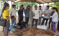 Bình Định: Nông dân Tây Sơn thi đua xây dựng tổ chức Hội vững mạnh