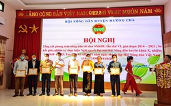 Nông thôn Tây Bắc: Phong trào nông dân 5 năm qua ở Mường Chà