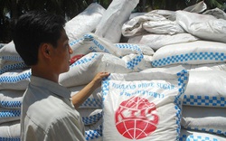 8 tháng 2021, Việt Nam chi hơn 500 triệu USD mua đường, ngành mía đường tiếp tục “khủng hoảng”