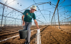 Công nghệ nông nghiệp Israel giúp nông dân Việt Nam và Đông Nam Á "đổi đời"