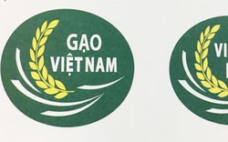 Bộ NNPTNT muốn giao nhãn hiệu chứng nhận Gạo Việt Nam/Vietnam Rice cho doanh nghiệp kinh doanh, xuất khẩu gạo