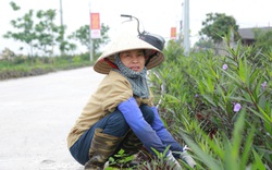 Hà Nam: Tự làm khó mình để phấn đấu trong xây dựng nông thôn mới kiểu mẫu