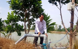 Long An: "Vắt" 70ha đất trồng nhiều thứ cây bằng cách này, ông nông dân vùng biên trở thành tỷ phú