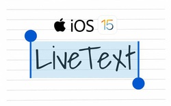 Tính năng mới Live Text giúp iPhone và iPad sao chép bài siêu nhanh