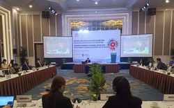 Việt Nam tăng 5 bậc "Chỉ số xếp hạng phát triển bền vững"