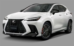 Lexus NX 2022 nâng cấp, trang bị gói thể thao TRD