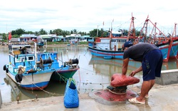 Ninh Thuận: Hàng nghìn thuyền đánh cá của ngư dân đang ở ngoài khơi vội vã vào bờ tránh áp thấp nhiệt đới