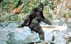 Trải nghiệm kinh hoàng của người đàn ông bị quái vật Bigfoot truy đuổi