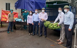 Hội Nông dân tỉnh Phú Thọ hỗ trợ 3 huyện, thành phố phòng chống dịch Covid-19