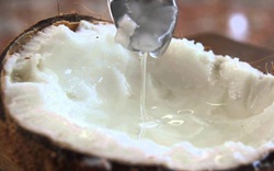 Lô dừa sáp Trà Vinh 1 tỷ đồng lần đầu được tiếp thị chính thức tại Úc, vừa bán đã hết veo