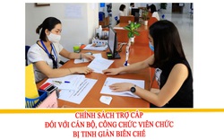 Cán bộ, công chức viên chức bị tinh giản biên chế được hưởng trợ cấp gì?