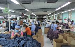 Đà Nẵng: Những đối tượng nào sẽ được nhận hỗ trợ từ Quỹ Bảo hiểm thất nghiệp?
