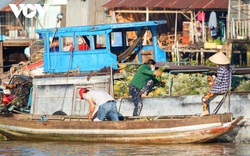 Chợ nổi Cần Thơ sôi động sau những ngày “ngủ quên”