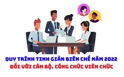 Quy trình tinh giản biên chế đối với cán bộ, công chức viên chức năm 2022