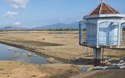 Xây dựng hồ La Ngà 3: Không riêng Bình Thuận, cả Đồng Nai và Bà Rịa-Vũng Tàu đều hưởng lợi