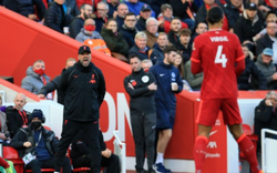 Liverpool bị Brighton cầm hòa, HLV Klopp giải thích lý do mắng Van Dijk