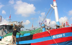 Nam Định: Dân ra biển bắt được toàn cá thu to, nhưng quá buồn vì bán rẻ chưa từng thấy