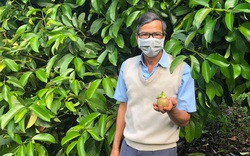 Lâm Đồng: Trồng vườn cây đặc sản, mới hái trái từ 250 cây mà một nông dân đã thu 500 triệu