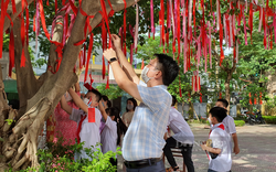 Dựng “Cây điều ước”, mơ về những điều bình thường giản dị