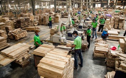 Bình Dương: Doanh nghiệp cần 50.000 lao động để trở lại hoạt động sản xuất