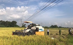 Vụ 2 nông dân ở Hải Dương bị điện giật tử vong: Người dân lo lắng, ngành điện làm ngơ?