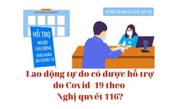 Lao động tự do có được hỗ trợ do Covid–19 theo Nghị quyết 116?