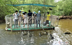 Cuối tuần này, "vùng xanh" Sài Gòn mở lại tour đón khách du lịch