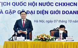 Chủ tịch Quốc hội: "Cần gói hỗ trợ nhiều hơn cho phục hồi, tái thiết nền kinh tế"