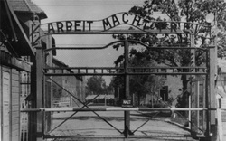 Số phận điệp viên duy nhất "tình nguyện ở tù" tại trại Auschwitz