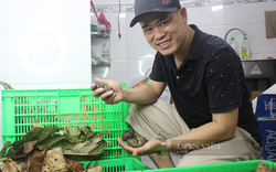 Kiếm tiền nhờ nuôi đặc sản ốc núi Tây Ninh giữa phố thị Sài Gòn chật hẹp 