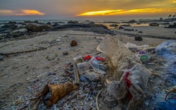 Sốc: Thành phố chi hơn 3 tỷ đồng dọn rác trên bãi biển rồi đổ xuống đại dương gây phẫn nộ