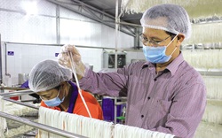 Bắc Ninh: Biến hạt gạo thành sản phẩm OCOP 4 sao, bún sạch Khương Huy tự tin xuất ngoại