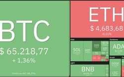 Giá Bitcoin hôm nay 14/11: Bitcoin tăng nhẹ lên trên 65.000 USD