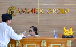 Cổ phiếu Camimex Group (CMX) tăng hơn 35% trong 1 tháng, cổ đông lớn liên tục bán ra