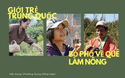 Giới trẻ Trung Quốc ồ ạt bỏ phố về quê làm nông dân  'nuôi cá, trồng thêm rau'