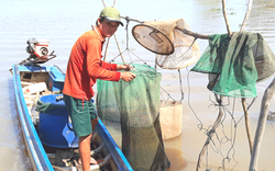 Mùa lũ miền Tây năm nay kém, nhấc dớn lên nhẹ tôm cá, dân giăng câu, thả lưới "mắc vạ" vì nạn buôn lậu