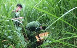 Đắk Lắk: Phát hiện hàng trăm hộp gỗ trong xưởng cưa, chủ xưởng không cung cấp hồ sơ nguồn gốc