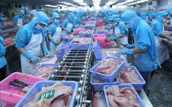 Thúc đẩy mở rộng thị trường và nâng cao thương hiệu cá basa Việt Nam tại Australia