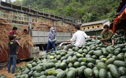 Hàng vào Trung Quốc ngày càng khó