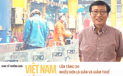 Chuyên gia kinh tế trưởng ADB: “Việt Nam cần tăng chi nhiều hơn là giãn và giảm thuế”