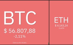 Giá Bitcoin hôm nay 23/11: Sau đợt nổi sóng, Bitcoin lao dốc, thị trường có dấu hiệu tiêu cực